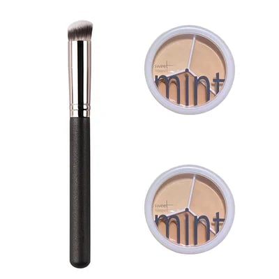 🔥Neujahrsangebot - Kaufen 1 bekommen 1 gratis & 1 Pinsel🎉3-in-1 Concealer Palette