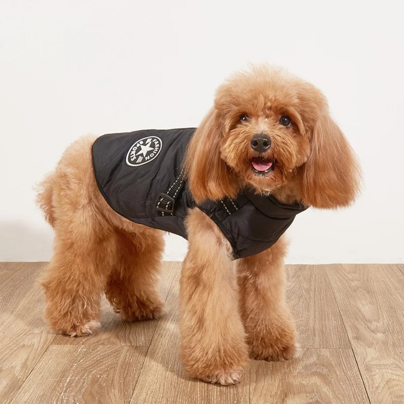 🐶Neujahrsverkauf 49 % RABATT🐾Wasserdichter Warmer Multifunktionaler Hundemantel