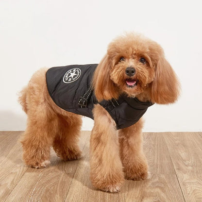 🐶Neujahrsverkauf 49 % RABATT🐾Wasserdichter Warmer Multifunktionaler Hundemantel