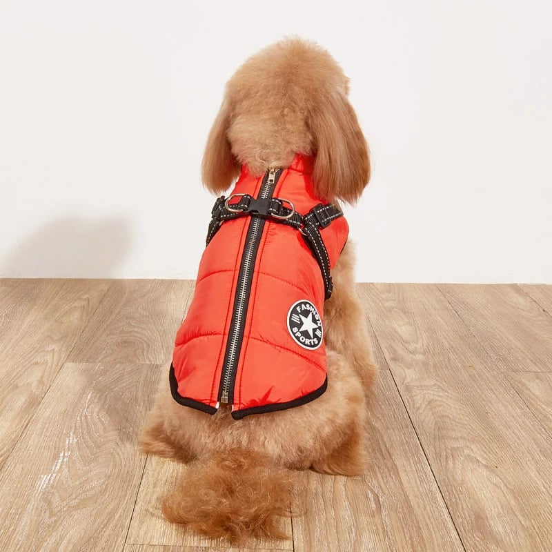 🐶Neujahrsverkauf 49 % RABATT🐾Wasserdichter Warmer Multifunktionaler Hundemantel