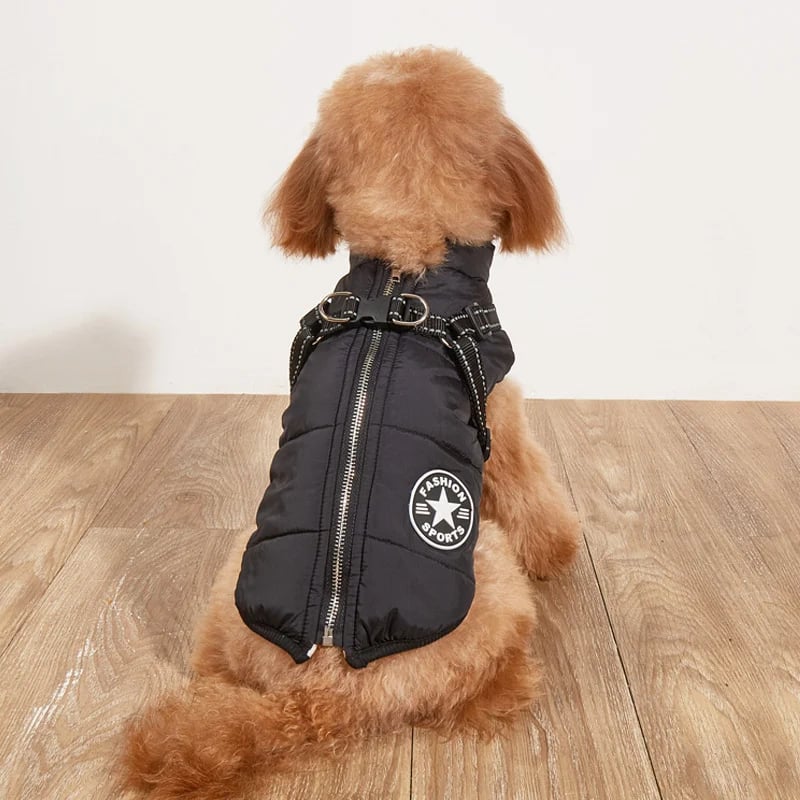 🐶Neujahrsverkauf 49 % RABATT🐾Wasserdichter Warmer Multifunktionaler Hundemantel