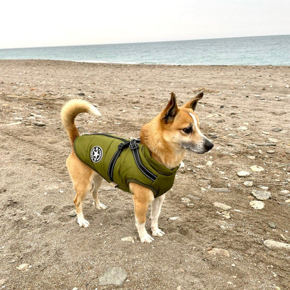 🐶Neujahrsverkauf 49 % RABATT🐾Wasserdichter Warmer Multifunktionaler Hundemantel