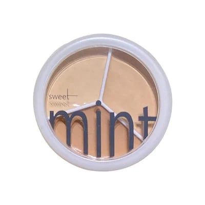 🔥Neujahrsangebot - Kaufen 1 bekommen 1 gratis & 1 Pinsel🎉3-in-1 Concealer Palette