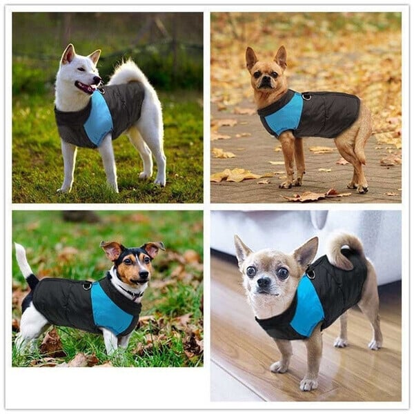 🐕Winter Warme Wasserdichte Hundeweste mit Reißverschluss (Gr.S-7XL)✨Kaufen 2 Bekommen 10% Rabatt✨