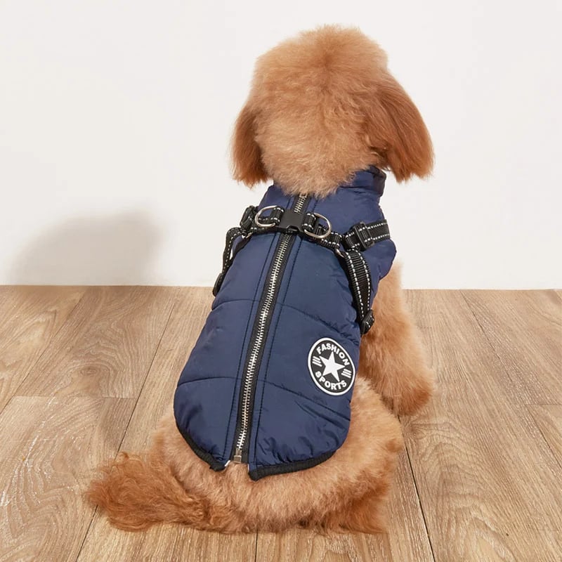 🐶Neujahrsverkauf 49 % RABATT🐾Wasserdichter Warmer Multifunktionaler Hundemantel