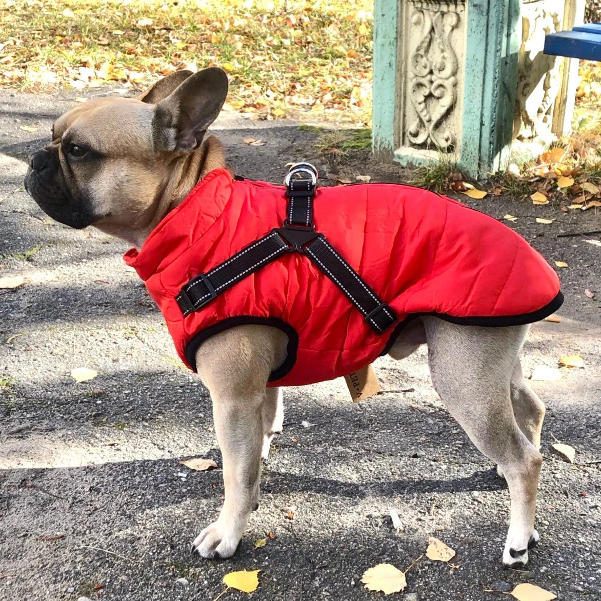 🐶Neujahrsverkauf 49 % RABATT🐾Wasserdichter Warmer Multifunktionaler Hundemantel
