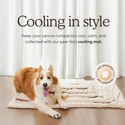 🌞🐱Summer Hot Sale 49% OFF🧊Premium Cooling Mat For Pet🐶