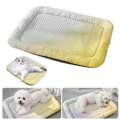 🔥Kostenloser Versand & 50 % Rabatt🔥 Pawchill™ Kühlmatte für Hunde & Katzen 🐾  Ice-Silk – natürlich kühl, atmungsaktiv & waschbar 🌿  Für Zuhause, Sofa & Auto • Mehrere Größen • Farbverlauf ☀️🐶🐱