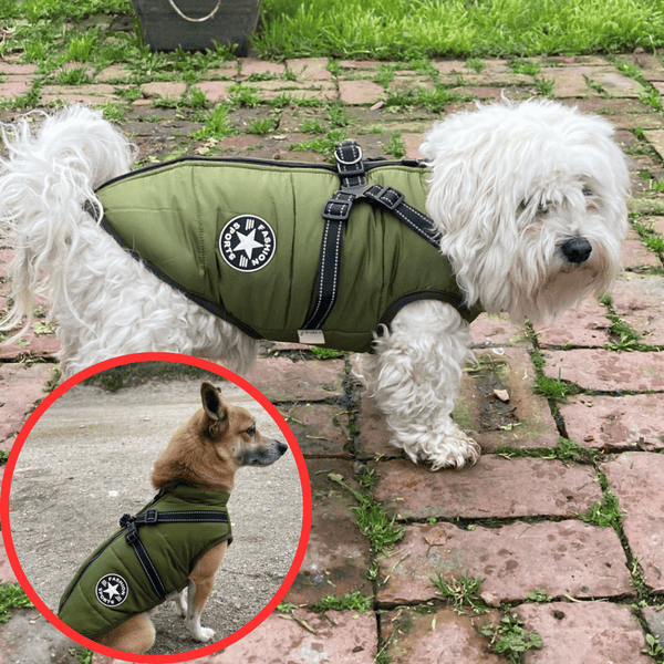 🐶Neujahrsverkauf 55% Rabatt🐾Wasserdichter Warmer Multifunktionaler Hundemantel