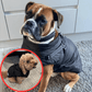 🐶Neujahrsverkauf 55% Rabatt🐾Wasserdichter Warmer Multifunktionaler Hundemantel