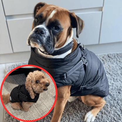 🐶Neujahrsverkauf 55% Rabatt🐾Wasserdichter Warmer Multifunktionaler Hundemantel