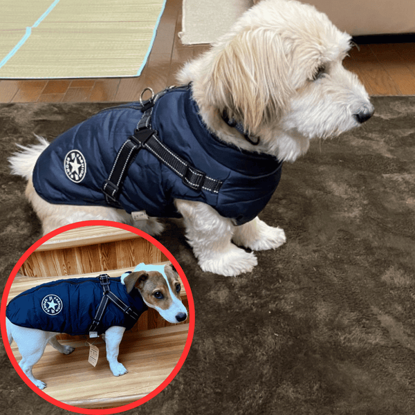 🐶Neujahrsverkauf 55% Rabatt🐾Wasserdichter Warmer Multifunktionaler Hundemantel