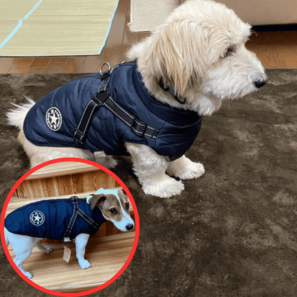 🐶Neujahrsverkauf 55% Rabatt🐾Wasserdichter Warmer Multifunktionaler Hundemantel