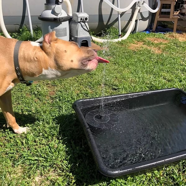 🔥LAST DAY SALE ￡9.99!!🔥Upgraded Solar Powered Water Fountain Pump With Accessories