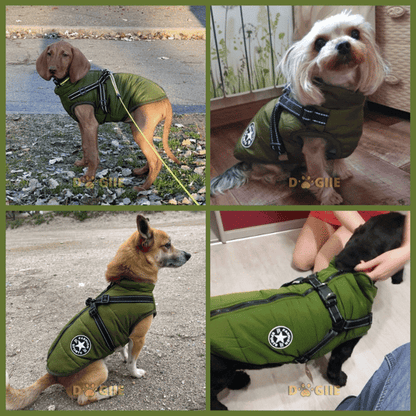 🐶Neujahrsverkauf 55% Rabatt🐾Wasserdichter Warmer Multifunktionaler Hundemantel