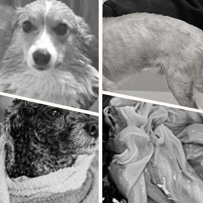 🔥New Year Hot Sale 50% OFF🐕Soft Absorbent and Quick-Drying Dog Bathrobe