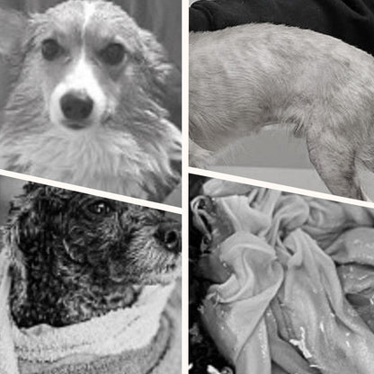 🔥New Year Hot Sale 50% OFF🐕Soft Absorbent and Quick-Drying Dog Bathrobe