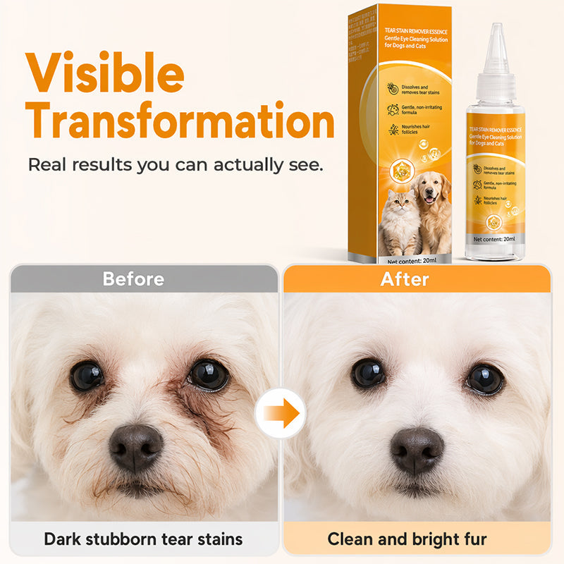🐕2 KAUFEN, 1 GRATIS DAZU + 50 % RABATT! 🐱Sanfte Tropfen zur Entfernung von Augenflecken bei Haustieren